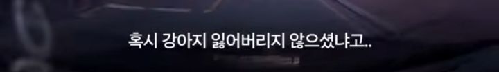 운전하다 댕줍하신 어느 운전자분 사연...ㅠㅠ | 인스티즈