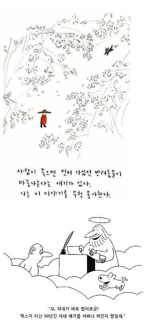 사랑이라고 생각하는 짤 올려보는 달글 | 인스티즈