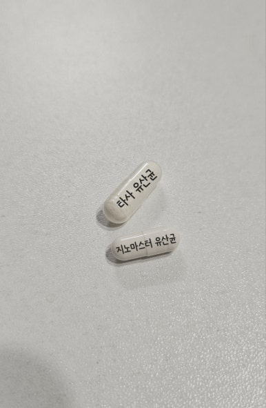 지노 이미지