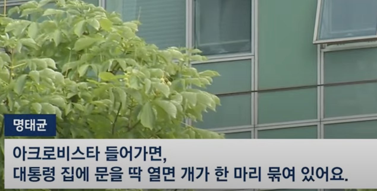아크로비스타 현관에 강아지 묶어놓고 키운 윤석열 | 인스티즈