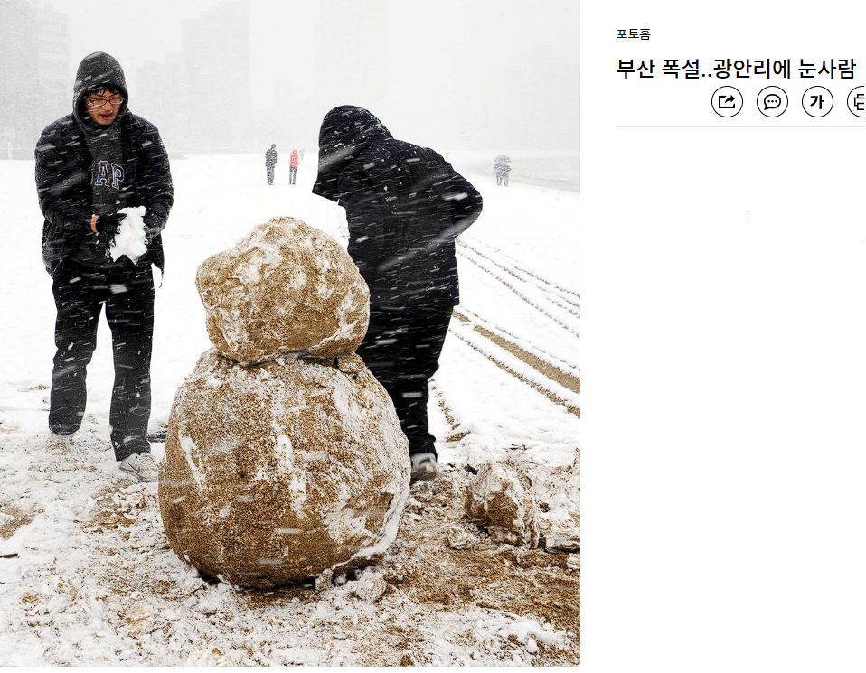 Daum 카페