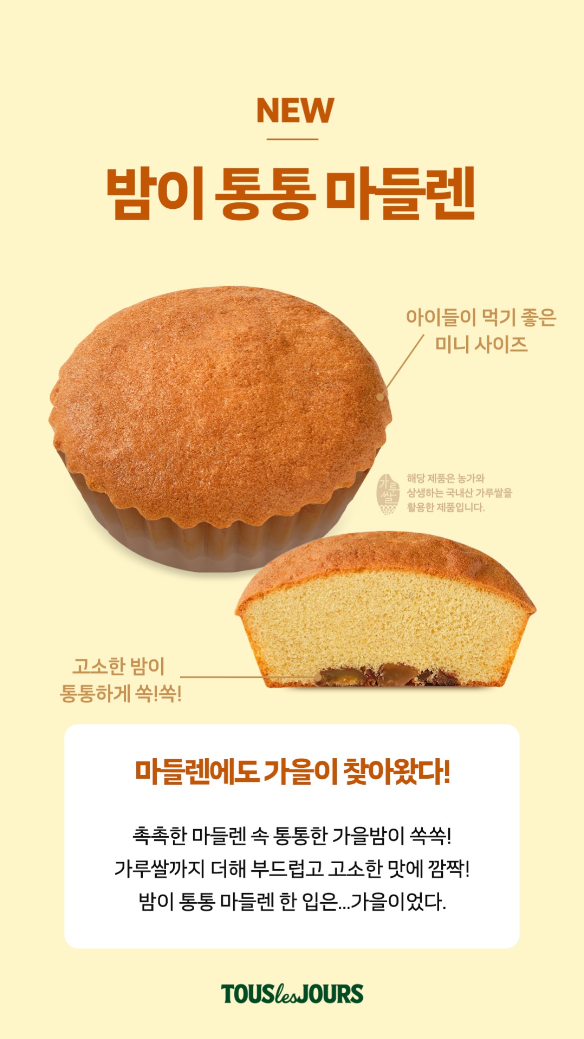 뚜레쥬르 인절미브라우니 출시예정 - 악플달면 쩌리쩌려버려 - ＊여성시대＊ 차분한 20대들의 알흠다운 공간