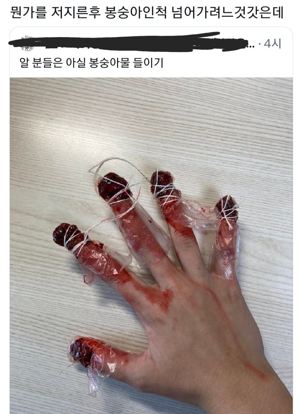 봉숭아물 이미지