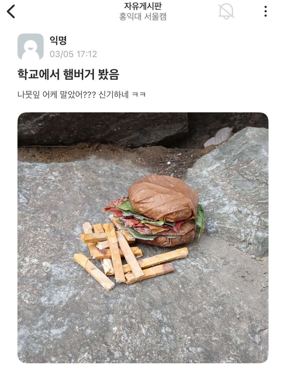 홍대생이 나뭇잎 햄버거를 만든 이유+방법 🍔 | 인스티즈