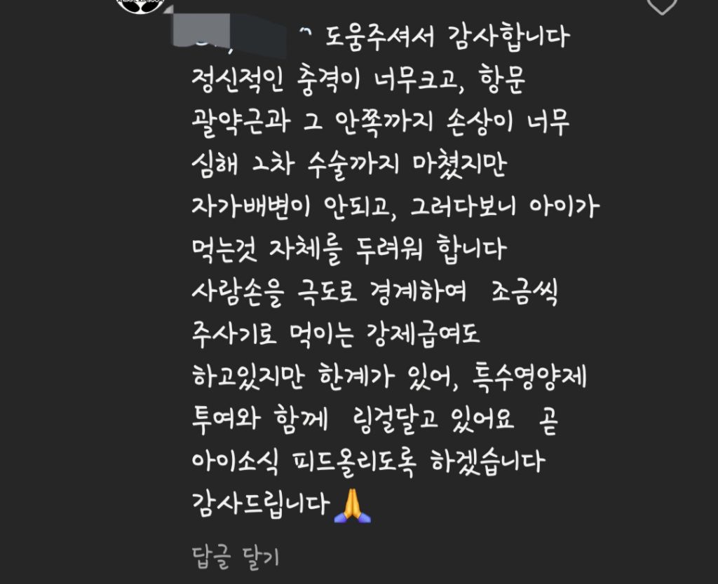 성폭행 당한 고양이 깜지 근황 | 인스티즈