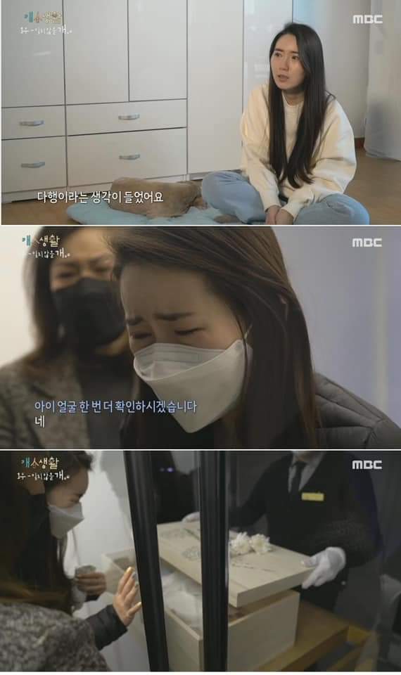 무지개 다리를 건넌다는 것 | 인스티즈