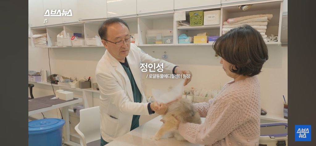 부부싸움 중 2층에서 던져진 강아지 그 뒷 이야기 | 인스티즈