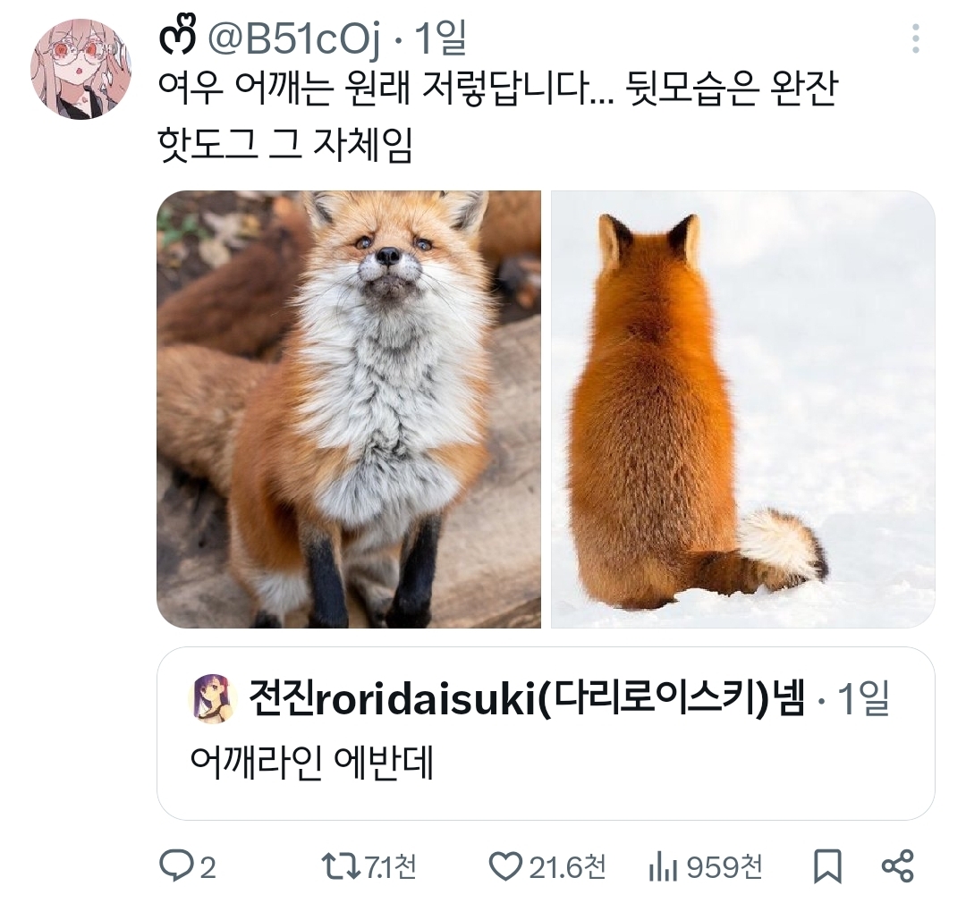 [주토피아2] 닉 어깨라인 논란.twt | 인스티즈