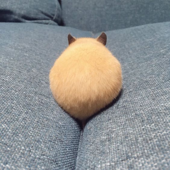 힙합보단 사랑 사랑보단 돈 | 인스티즈