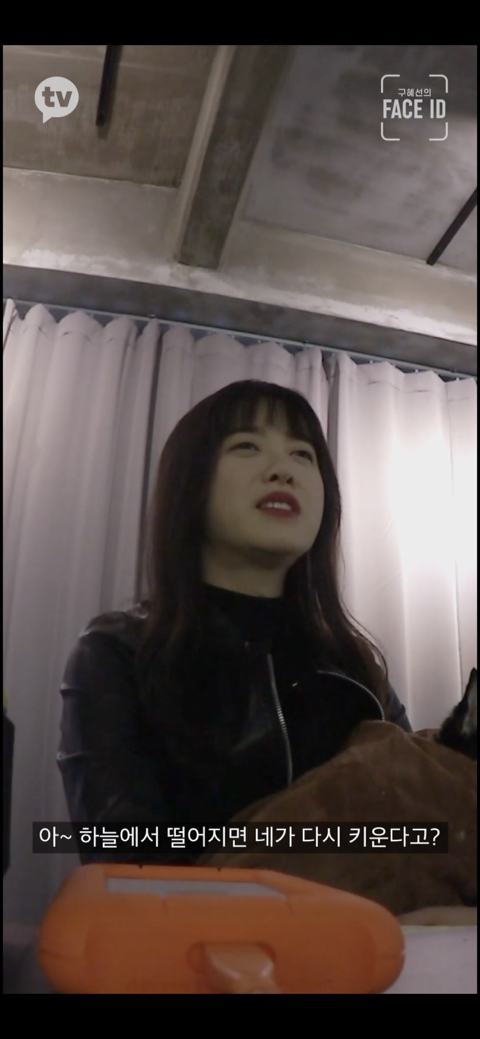 [페이스아이디] 순대가 하늘에서 구름밟고 떨어졌으면 좋겠어 다시 키우게 .. (별이 된 구혜선 반려견) | 인스티즈