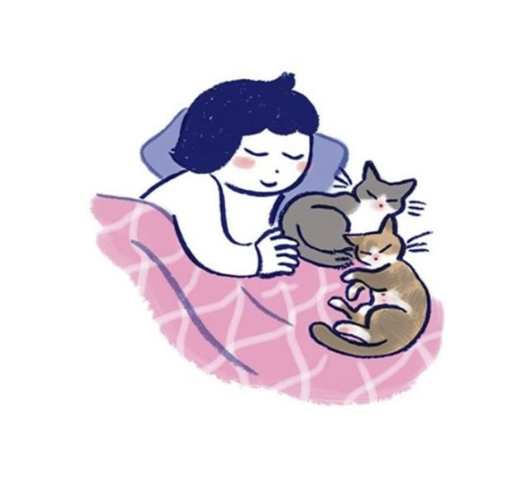반려동물을 떠나보낸다는 것 | 인스티즈