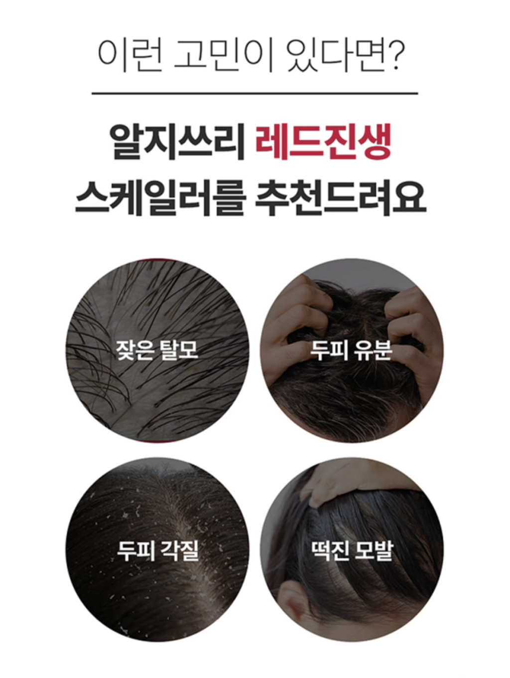 진생 이미지