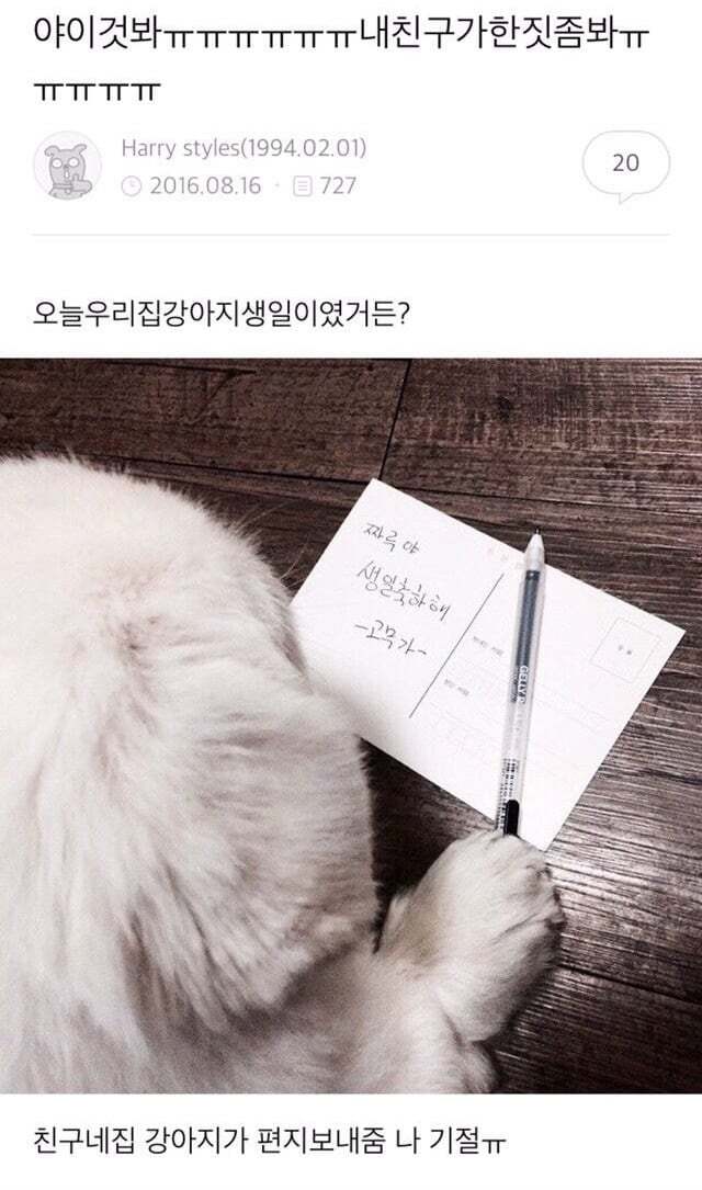 아빠가 개새랑 외출했다고 사진 보내줌 | 인스티즈