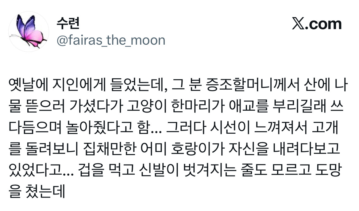전래동화 같은 호랑이 이야기 트위터 모음.twt | 인스티즈