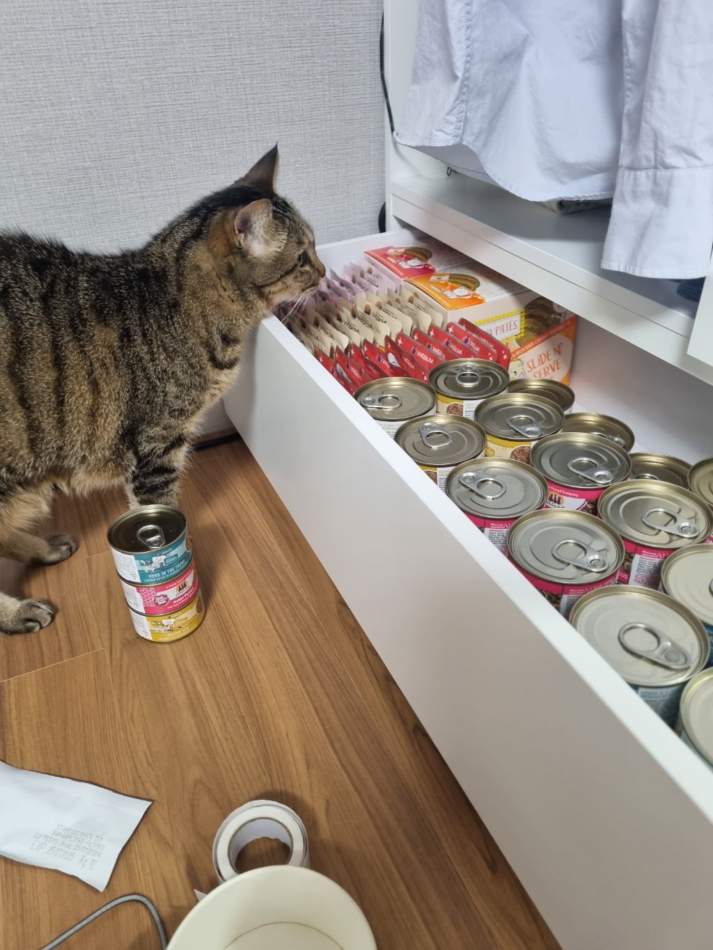 주차장에 버려진 고양이 | 인스티즈