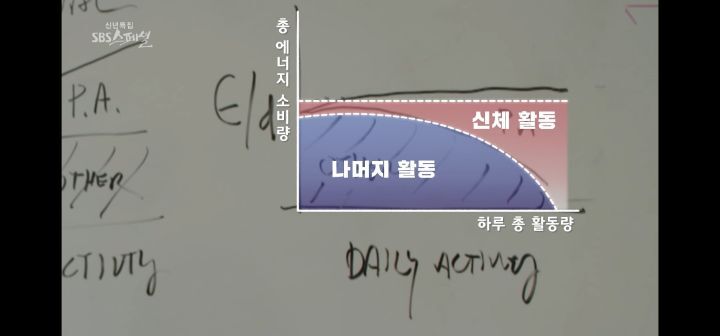 운동량을 아무리 늘려도 처음처럼 살 안빠지는 이유 (다이어트의 역설) | 인스티즈
