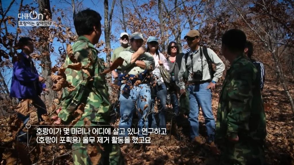 '절멸'의 '한국 호랑이'. 🐅 그 100년간의 이야기. -마지막- | 인스티즈