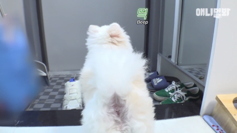 밤낮없이 집 도어락을 누르는 누군가때문에 고민인 부부 | 인스티즈