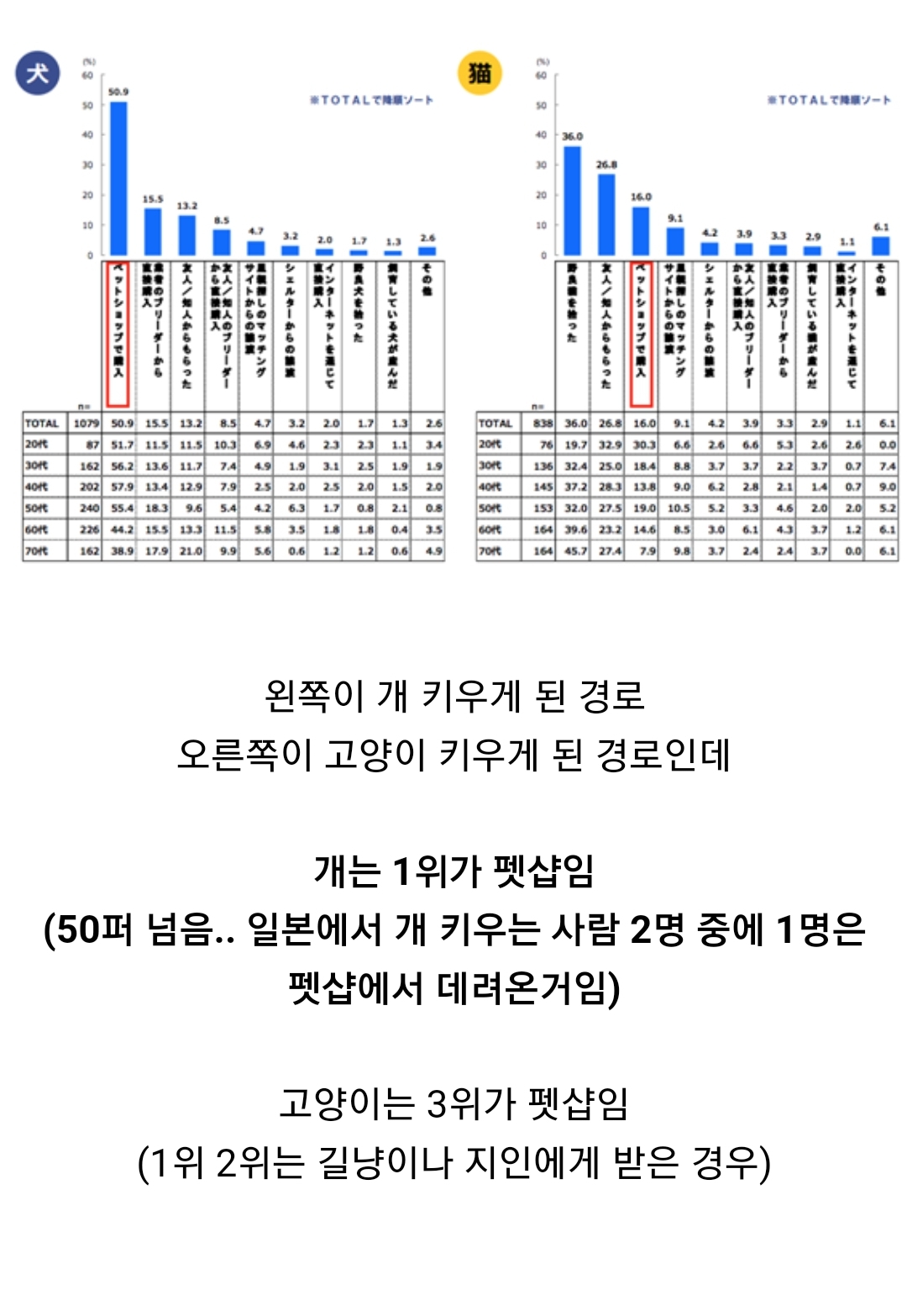 우리나라 펫샵 문화가 어디에서 왔는지 알고 있어? | 인스티즈
