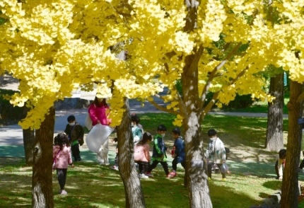 가을을 줍는 아이들 | 인스티즈
