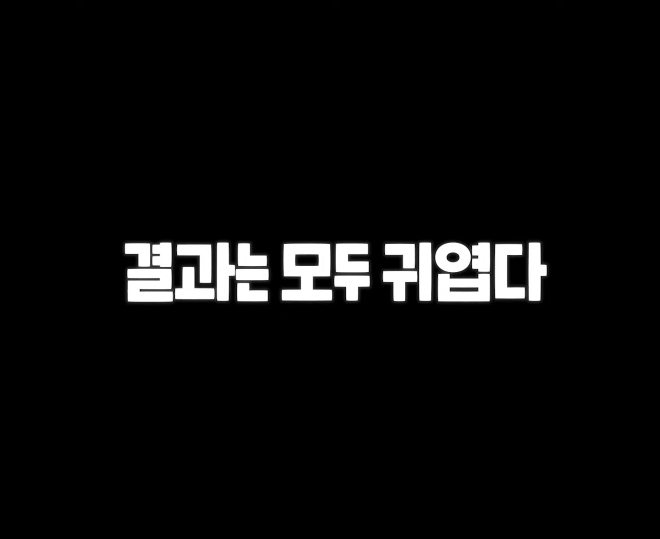 고양이 벽짚 챌린지는 진짜 지능과 관련 있을까? | 인스티즈
