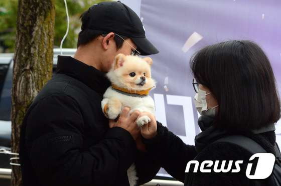 올해도 기대되는 '수능 강아지' 모음 | 인스티즈