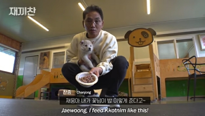 개농장에서 구출됐던 강아지 꽃님이의 버르장머리 없어진 최근 모습 | 인스티즈