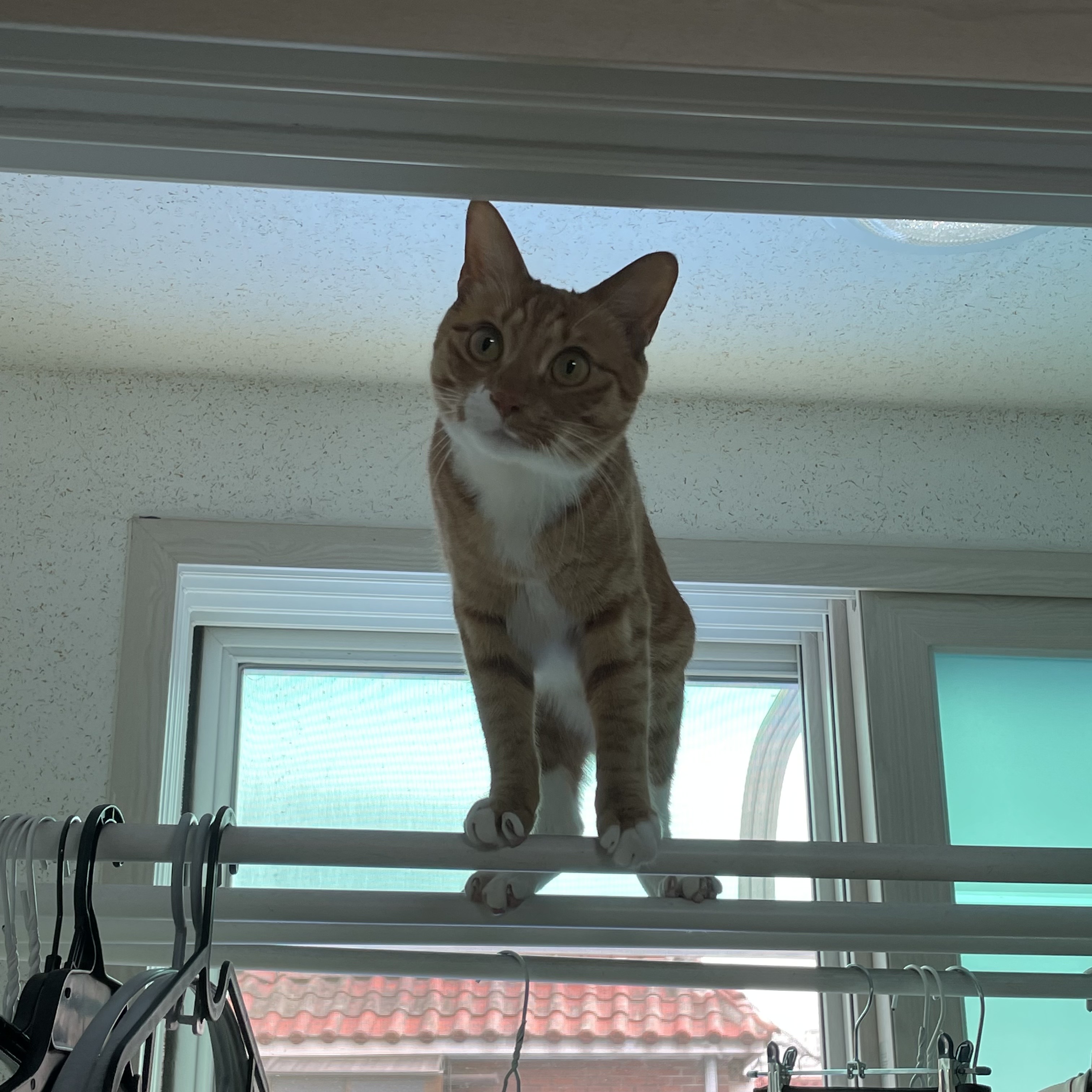 가... | 인스티즈