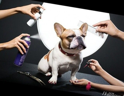 미드 모던패밀리 tmi 21가지 -1편- | 인스티즈