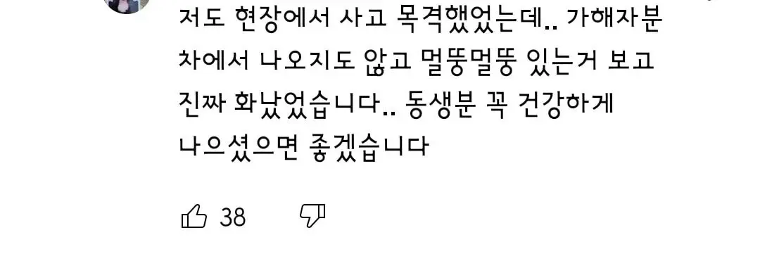 초보운전이라서 브레이크못밟았다는 영상 제보한거보고 열받아서 피해자 가족이 올린글 | 인스티즈