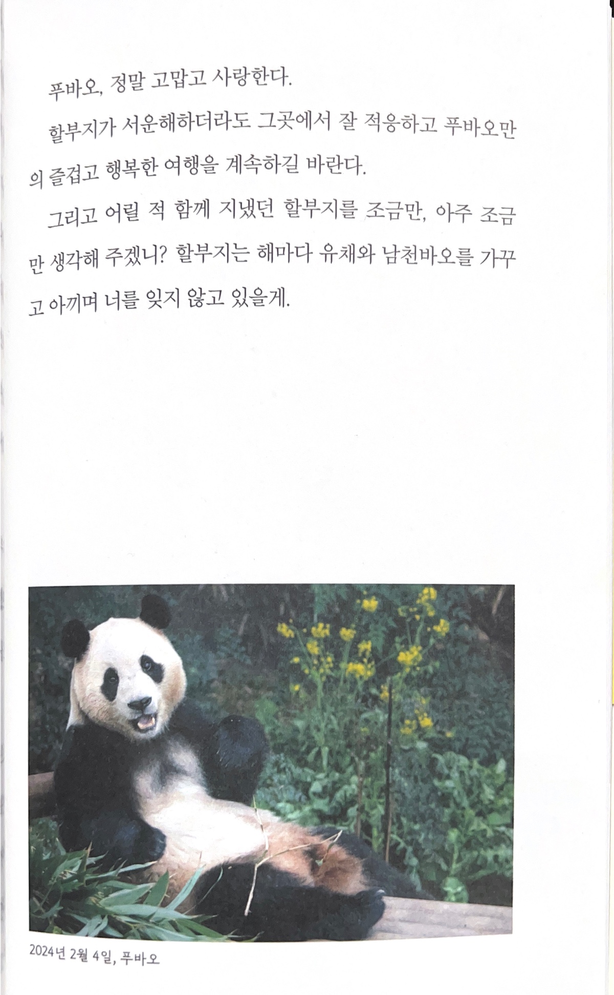 (ㅅㅍㅈㅇ) 최근 발매된 강바오책 에필로그 일부 | 인스티즈