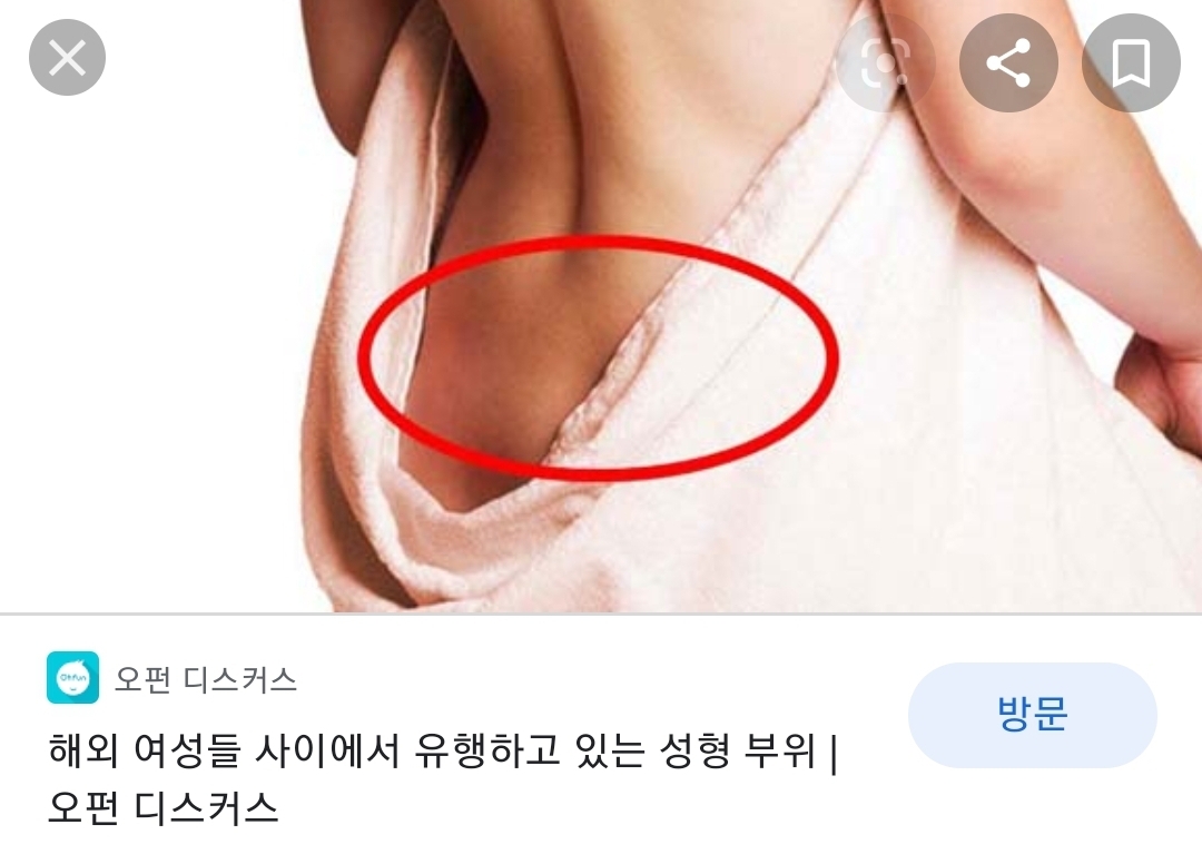 해외에서 유행하다가 우리나라에서도 시행하는 성형부위.jpg | 인스티즈