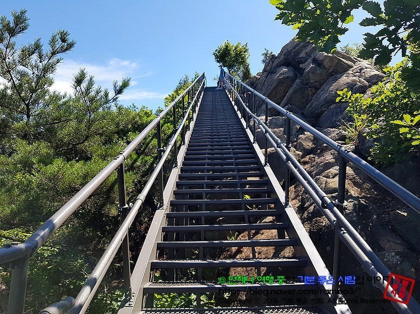고소공포증 있는 사람들이 의외로 무서워 하는 장소들 | 인스티즈