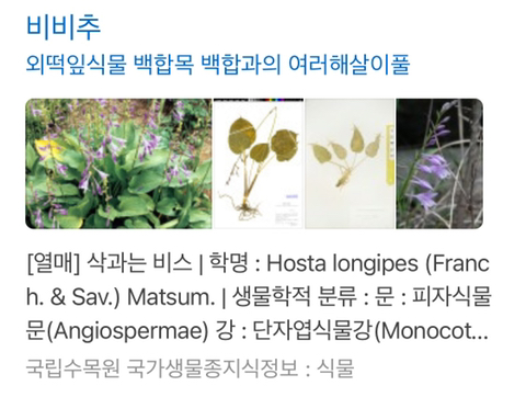 fb6be35fcdd450c8c5ac95f64caea24be717d3db