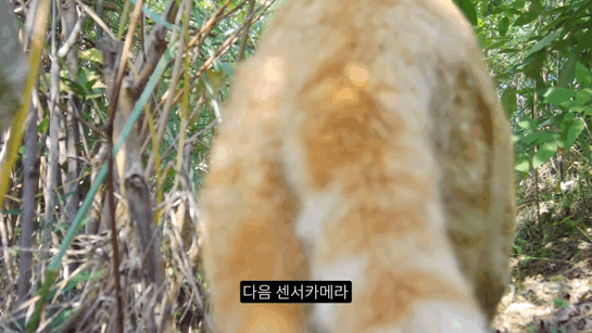 fb8850ee15cff3cca910333ea65623703787d947