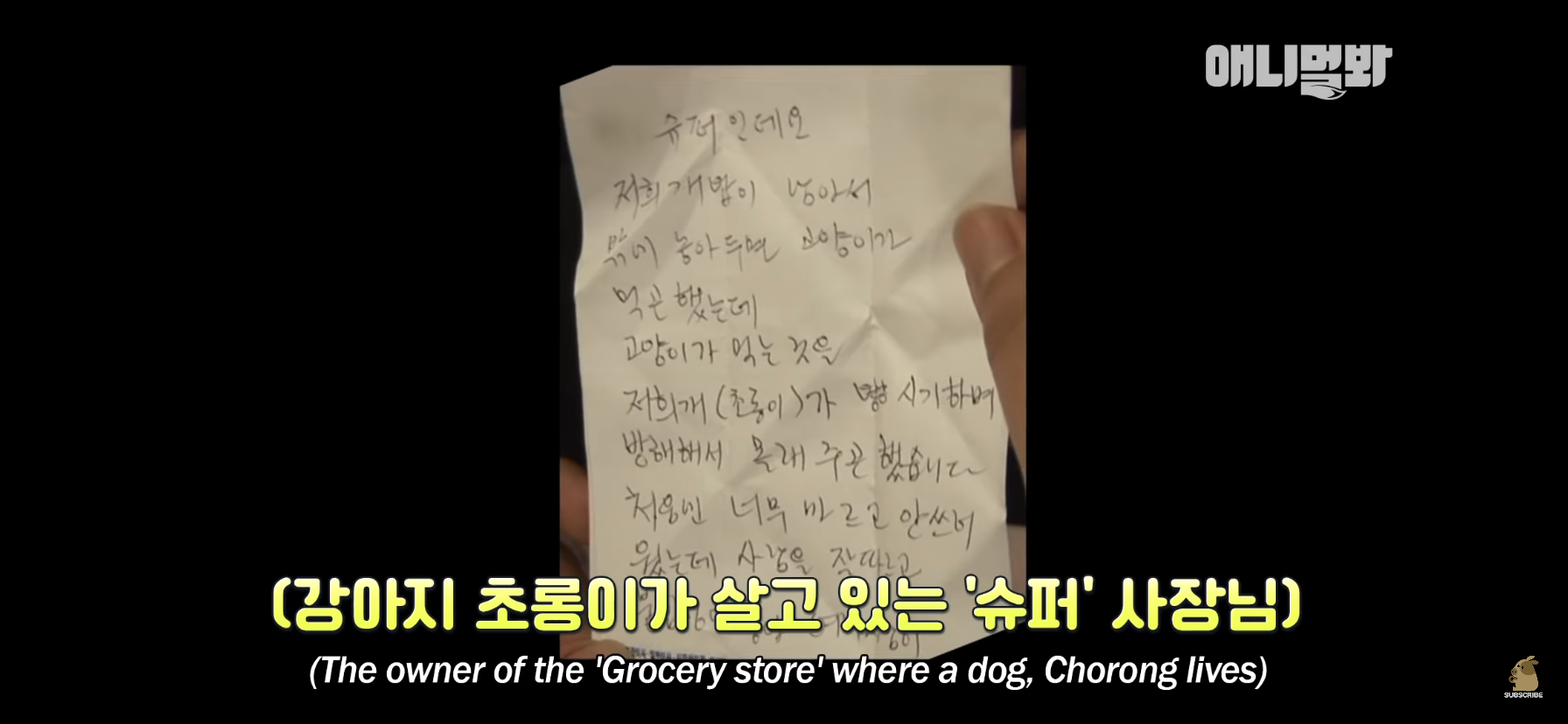 길고양이 목에 쪽지를 달자 생긴 영화같은 일 | 인스티즈