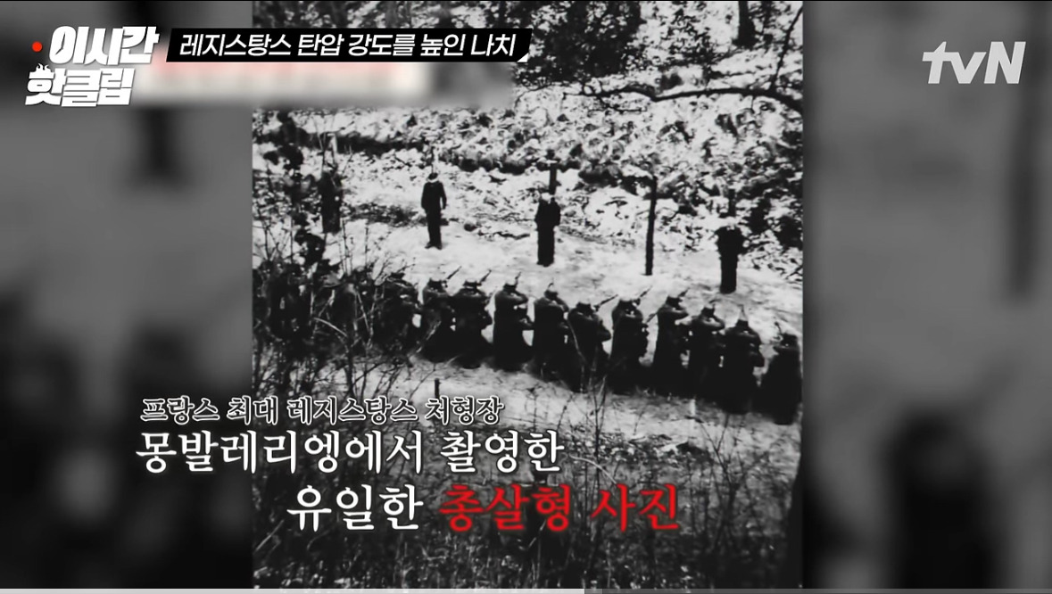 프랑스식 매국노 숙청법 | 인스티즈