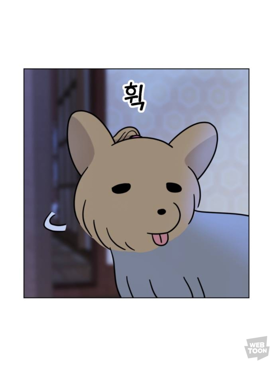 밖에서 보면 큰일난다고 난리난 웹툰 마루는 강쥐 오늘자 에피..jpg | 인스티즈