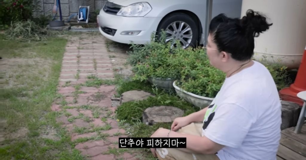 신발 물어 뜯은 고양이 찾아간 이영자 | 인스티즈