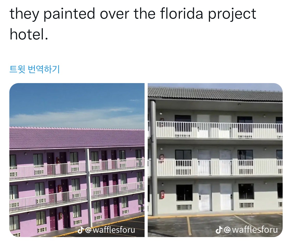 플로리다 프로젝트의 호텔 흰색 페인트로 다 덮었다고 함… - 악플달면 쩌리쩌려버려 - ＊여성시대＊ 차분한 20대들의 알흠다운 공간