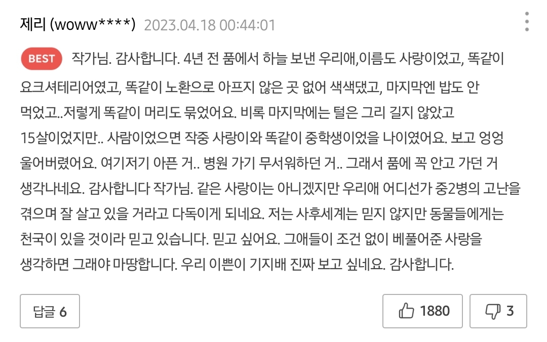 밖에서 보면 큰일난다고 난리난 웹툰 마루는 강쥐 오늘자 에피..jpg | 인스티즈