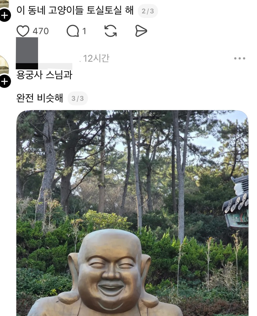 우리동네에 전국구조직 깡패 아저씨 사는데 밤마다 길고양이들한테.thread | 인스티즈