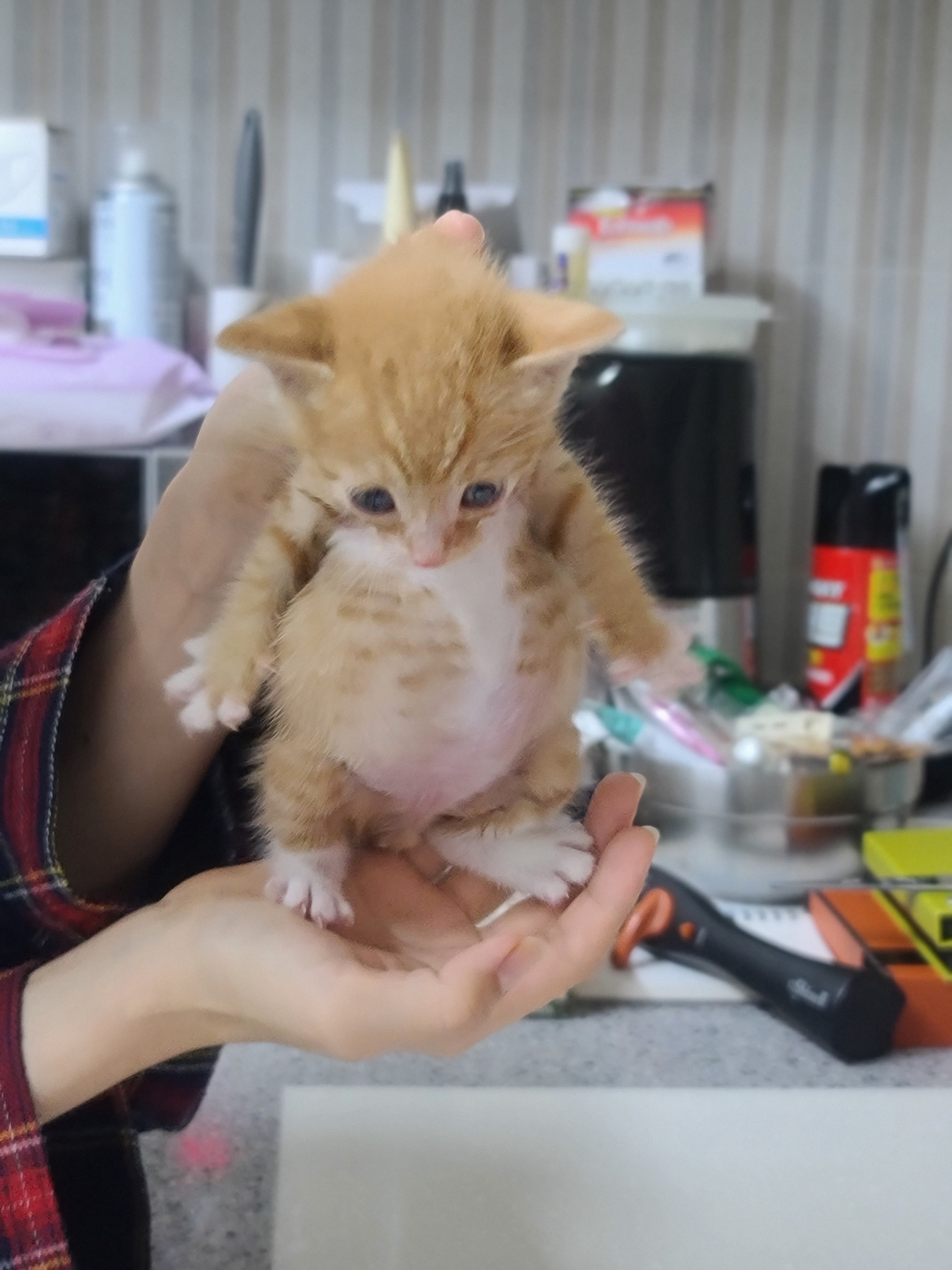 가... | 인스티즈