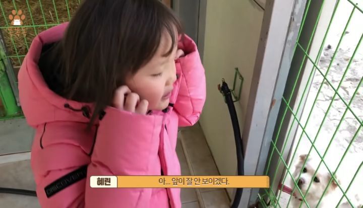 7살 아이 눈에 비친 유기견 보호소는? | 인스티즈