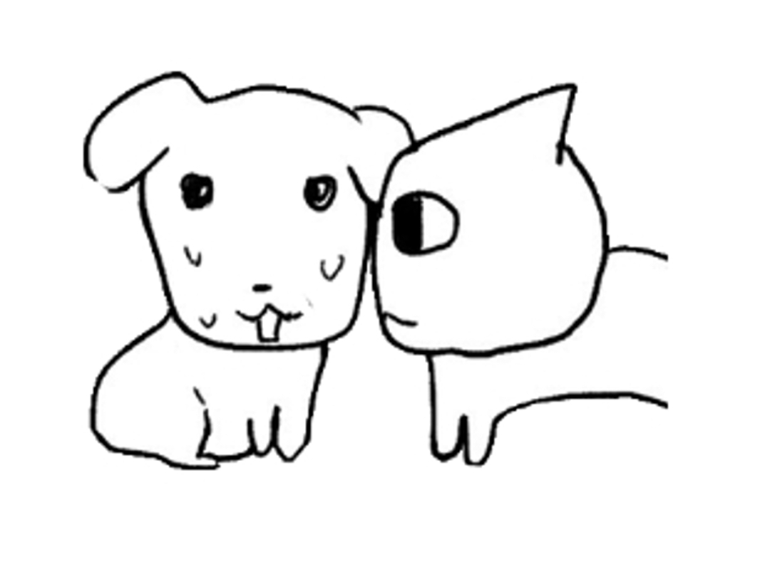 걍 2024년 밈 결산 그 자체인 탄핵 시위 피켓들 상태.twt | 인스티즈