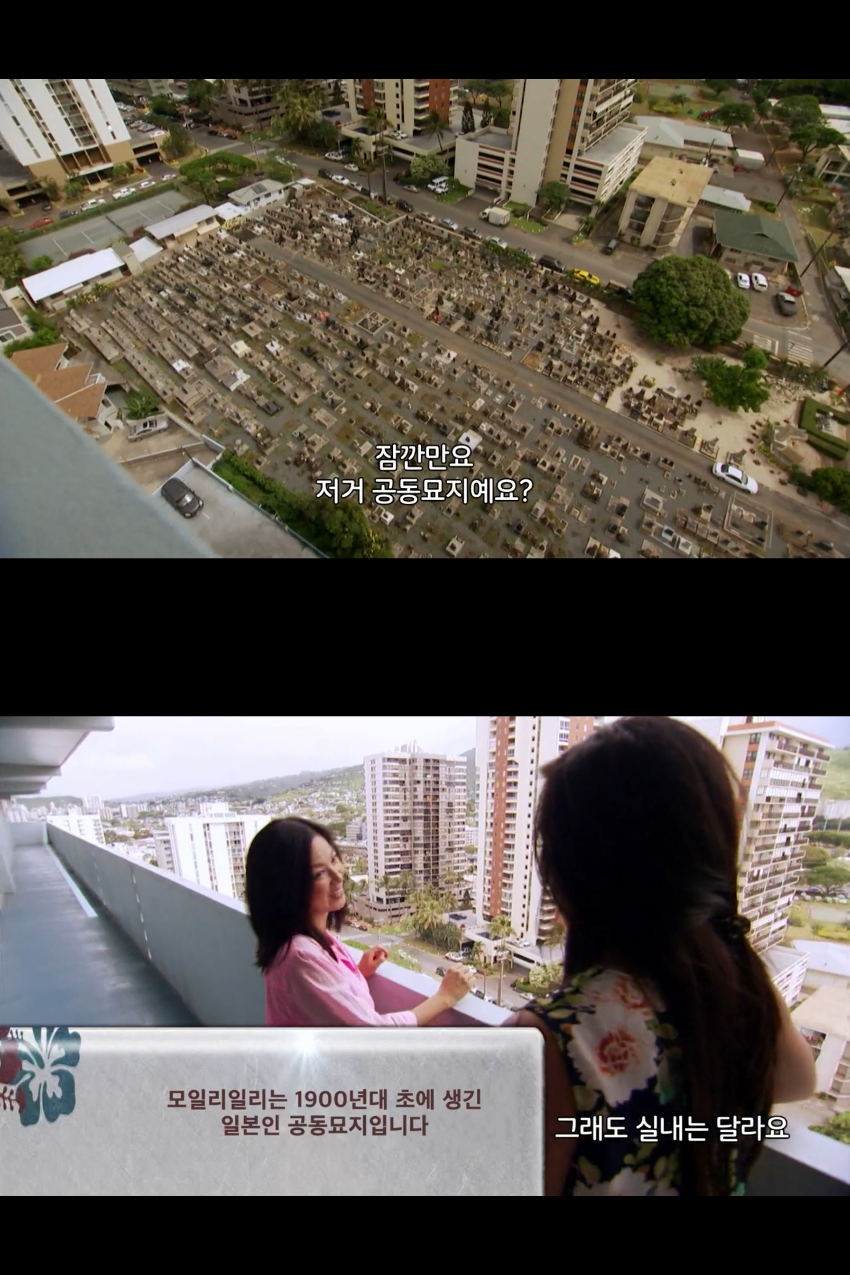 싱글여성의 하와이에서 집 구하기 | 인스티즈