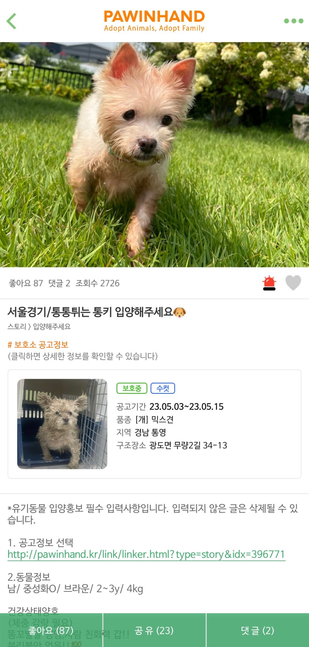 포인핸드 이미지