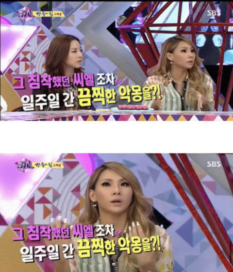 씨엘호텔 이미지