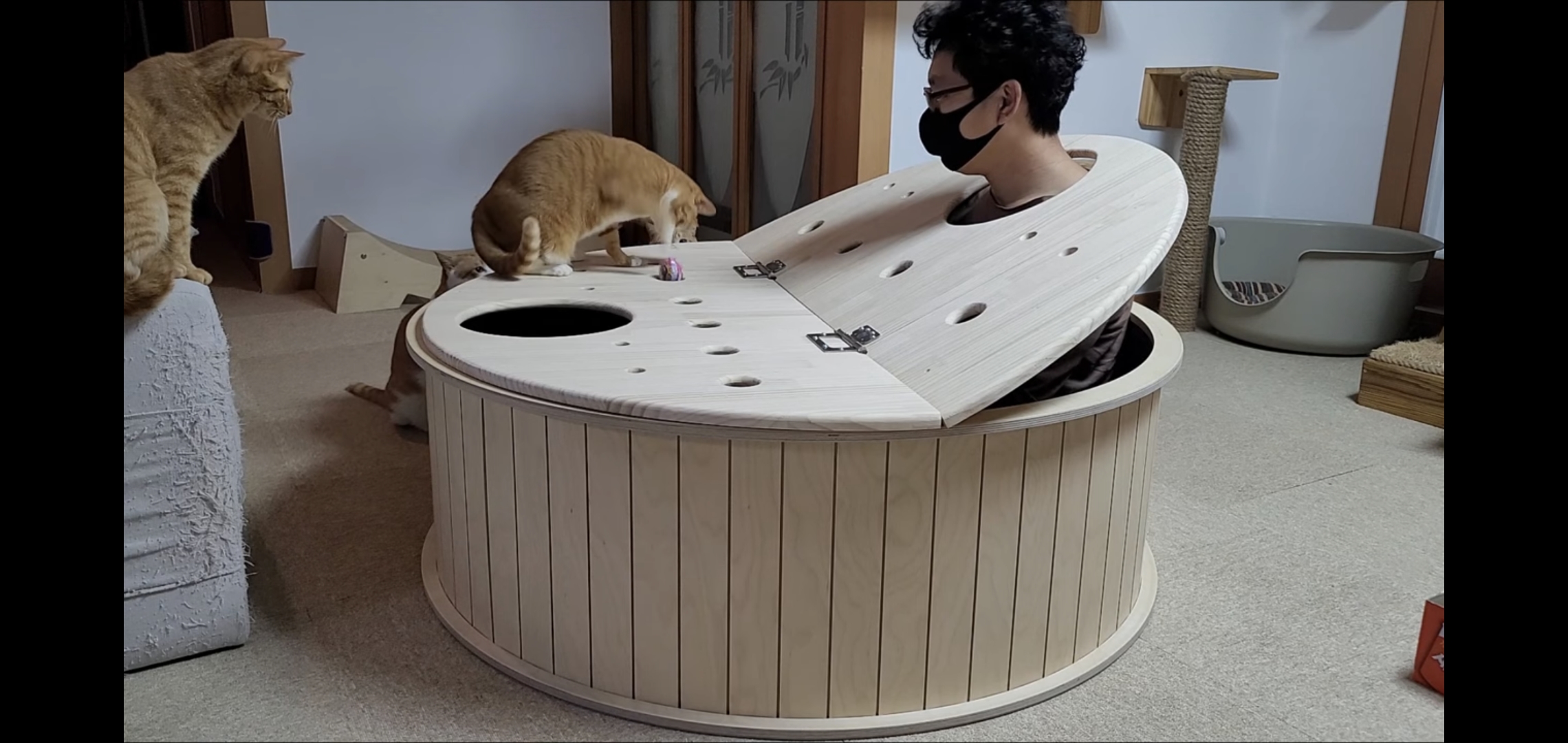 해괴한 고양이 장난감을 만들어낸 오늘자 매탈남.. jpg | 인스티즈