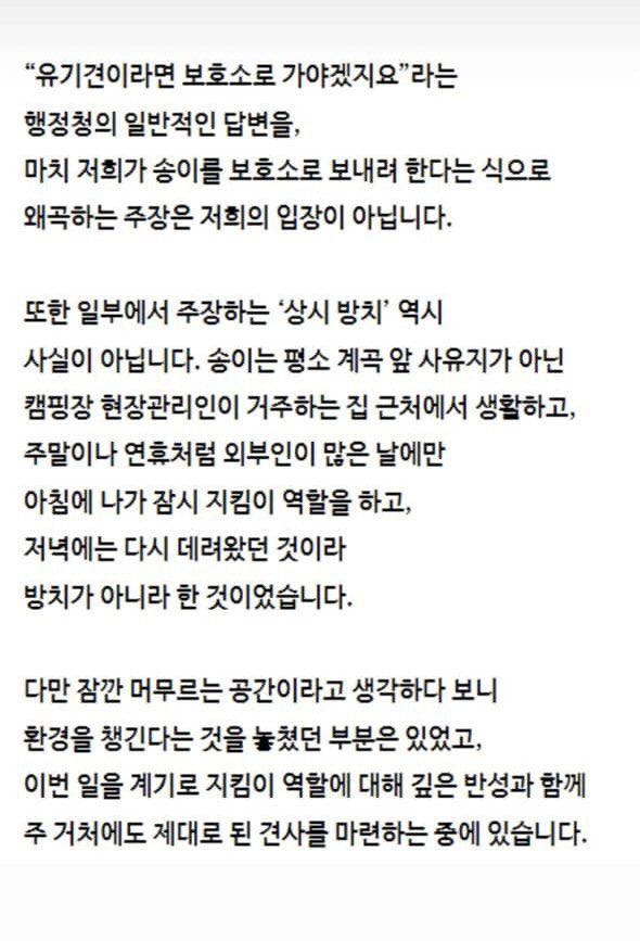 쩌리에서 논란이였던 계곡 방치견에 대한 캠핑장 피드백 | 인스티즈